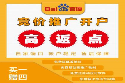 竞价广告案例分享：XX电商平台的成功秘诀